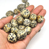 Dalmatian Jasper Tumbled Stones