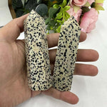 Dalmatian Jasper Points