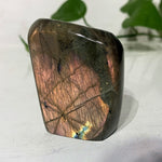 Multicolored Labradorite