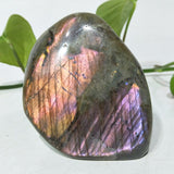 Multicolored Labradorite