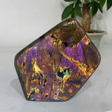 Violet Labradorite Crystal Blocks