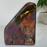 Violet Labradorite Crystal Blocks