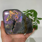 Violet Labradorite Crystal Blocks