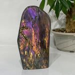 Violet Labradorite Crystal Blocks