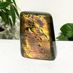 Sparkling Labradorite Crystal Blocks