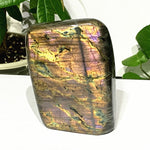 Sparkling Labradorite Crystal Blocks